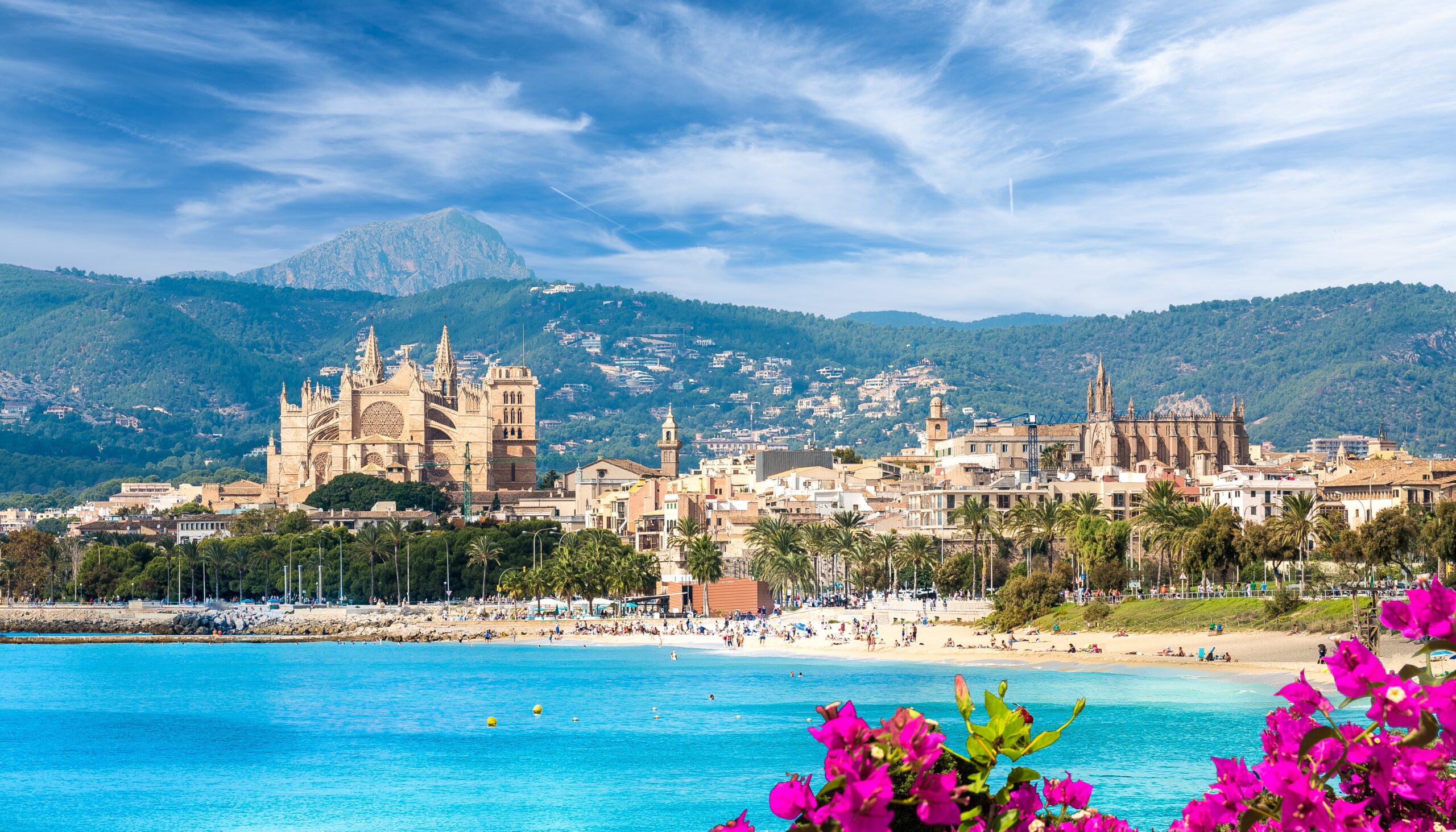 https://iwmo.net/iwmo-2026/iwmo2026.es/wp-content/uploads/2025/04/PALMA01-scaled.jpg