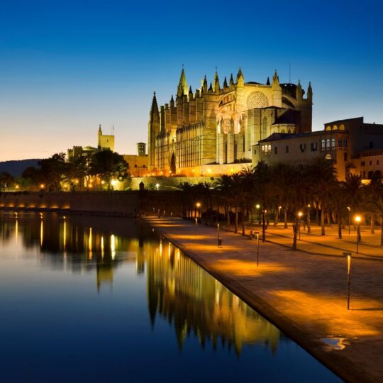 https://iwmo.net/iwmo-2026/iwmo2026.es/wp-content/uploads/2025/04/PALMA02-540x540.jpeg