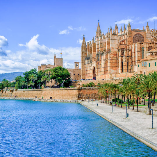 https://iwmo.net/iwmo-2026/iwmo2026.es/wp-content/uploads/2025/04/PALMA06-540x540.jpg